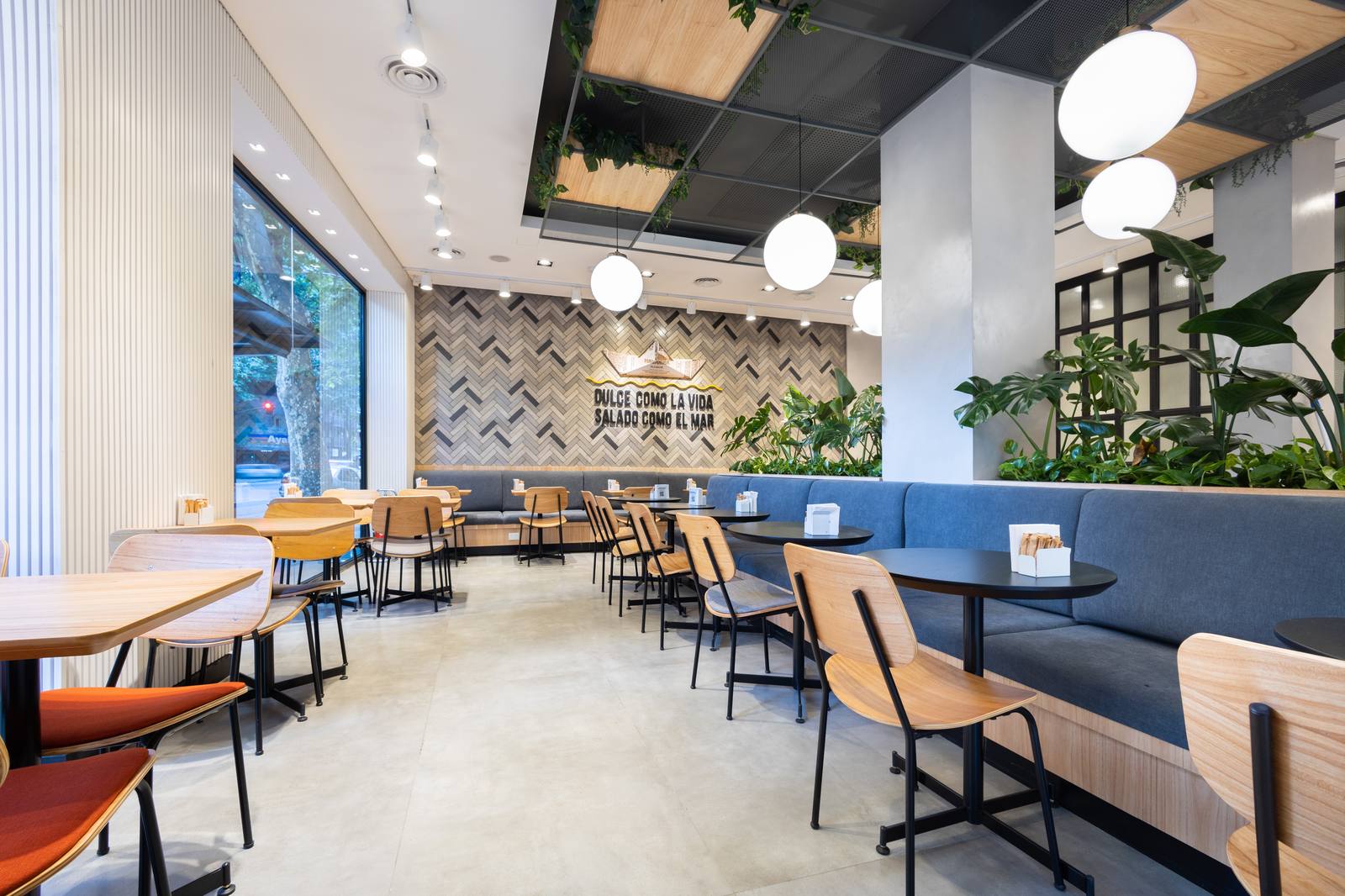 Sala comedor con banqueta azul y plantas colgantes